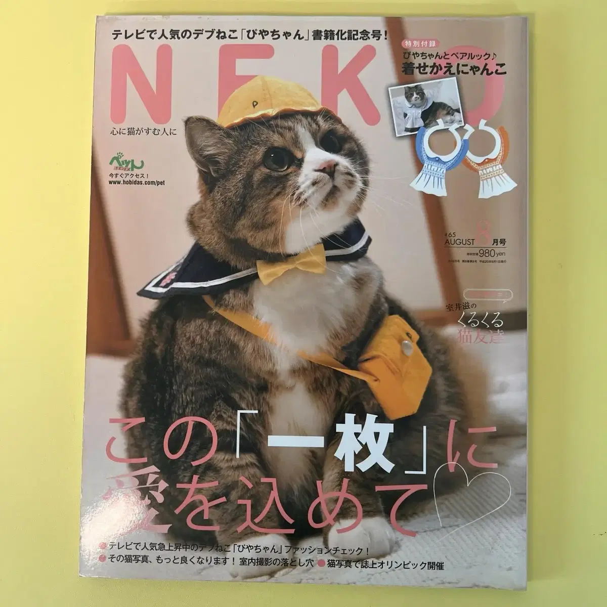 고양이잡지 네코 NEKO 2008-08 vol65 일본 빈티지잡지 고양이